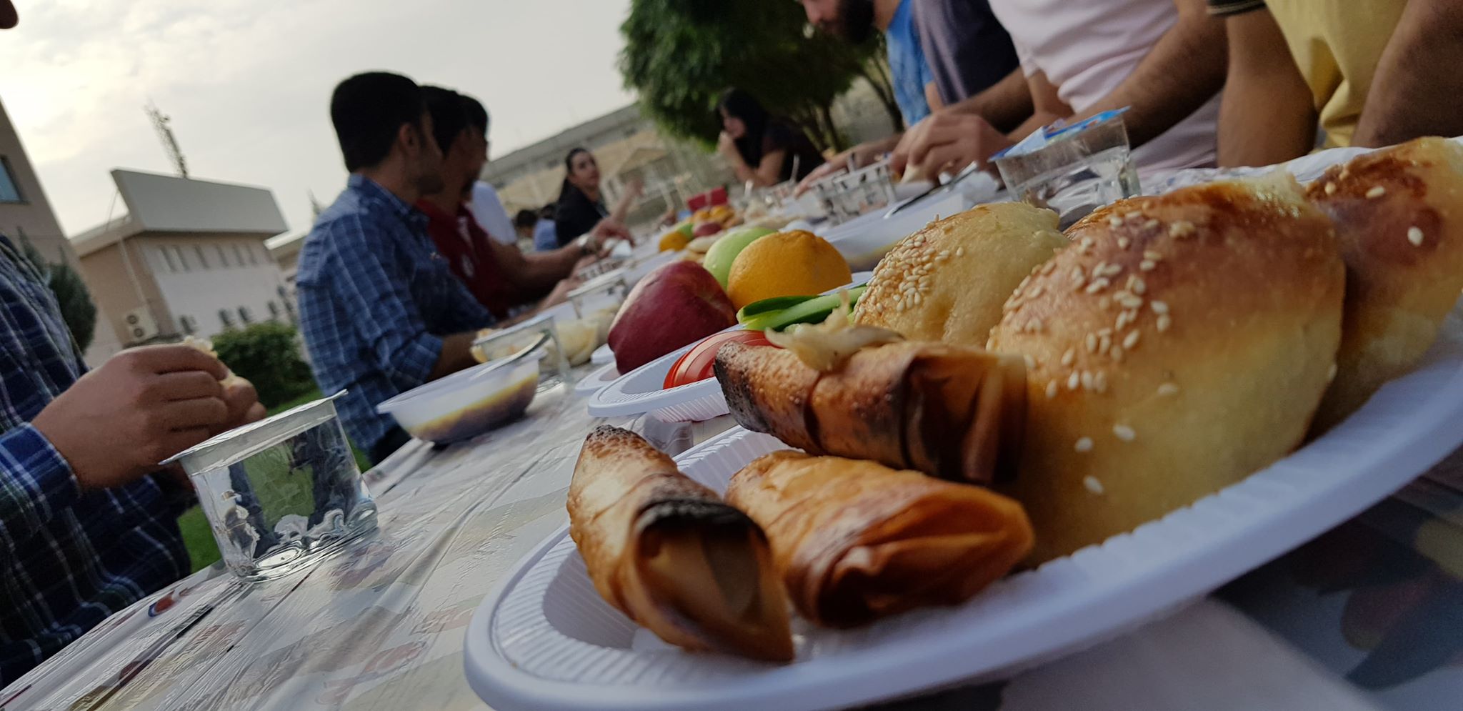 Tishk International University | Faculty of Law